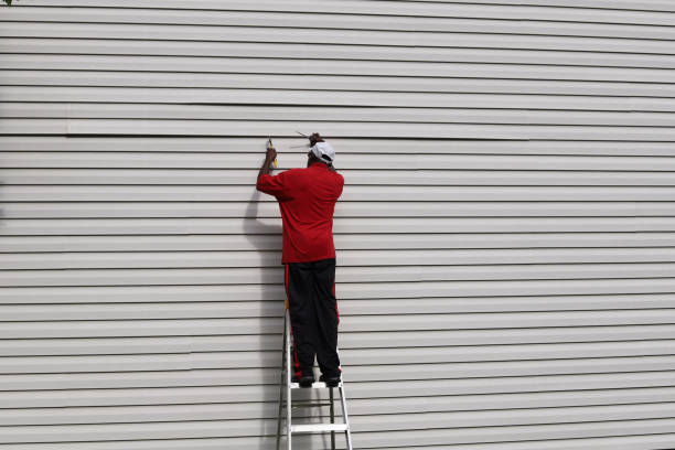 Best Aluminum Siding Installation  in Wilmer, TX