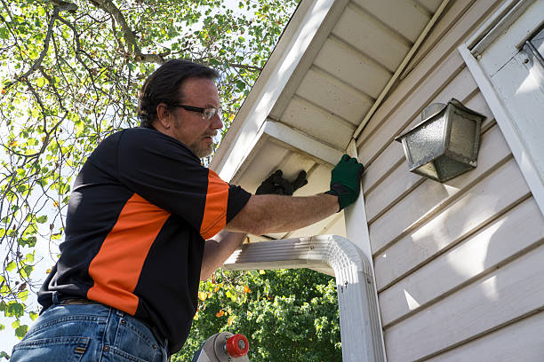 Best Storm Damage Siding Repair  in Wilmer, TX